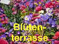 25 Bluetenterrasse